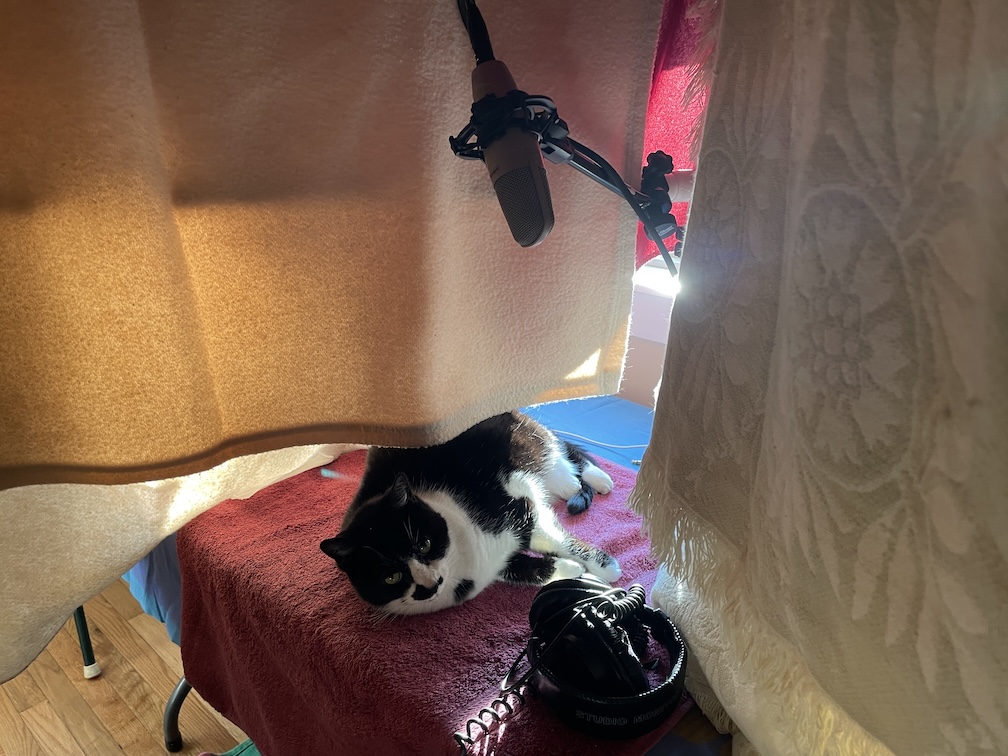 Pandora the cat inside the Tri-Booth Memo.